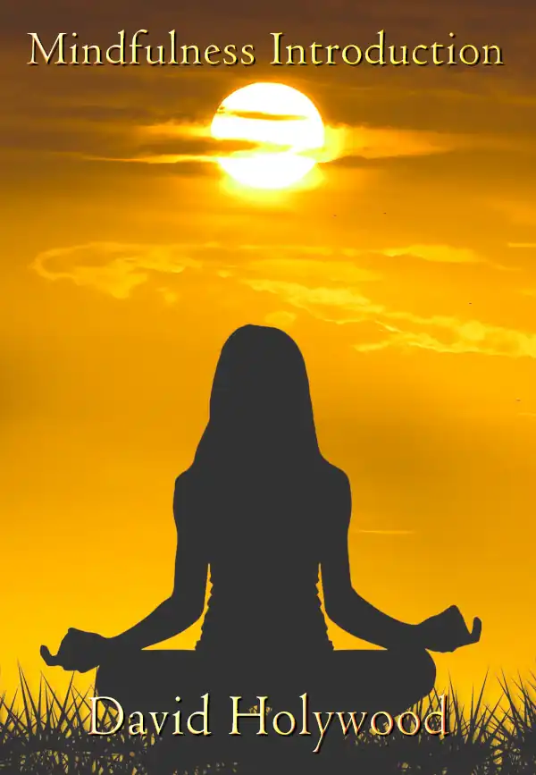Mindfulness Meditation Introduction by David Holywood